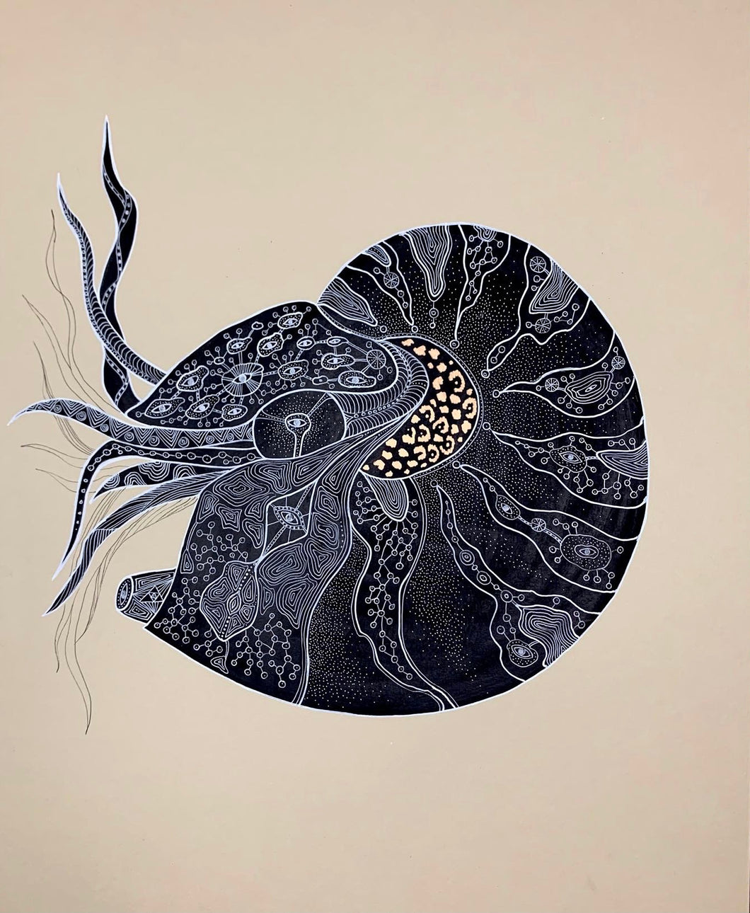 Nautilus